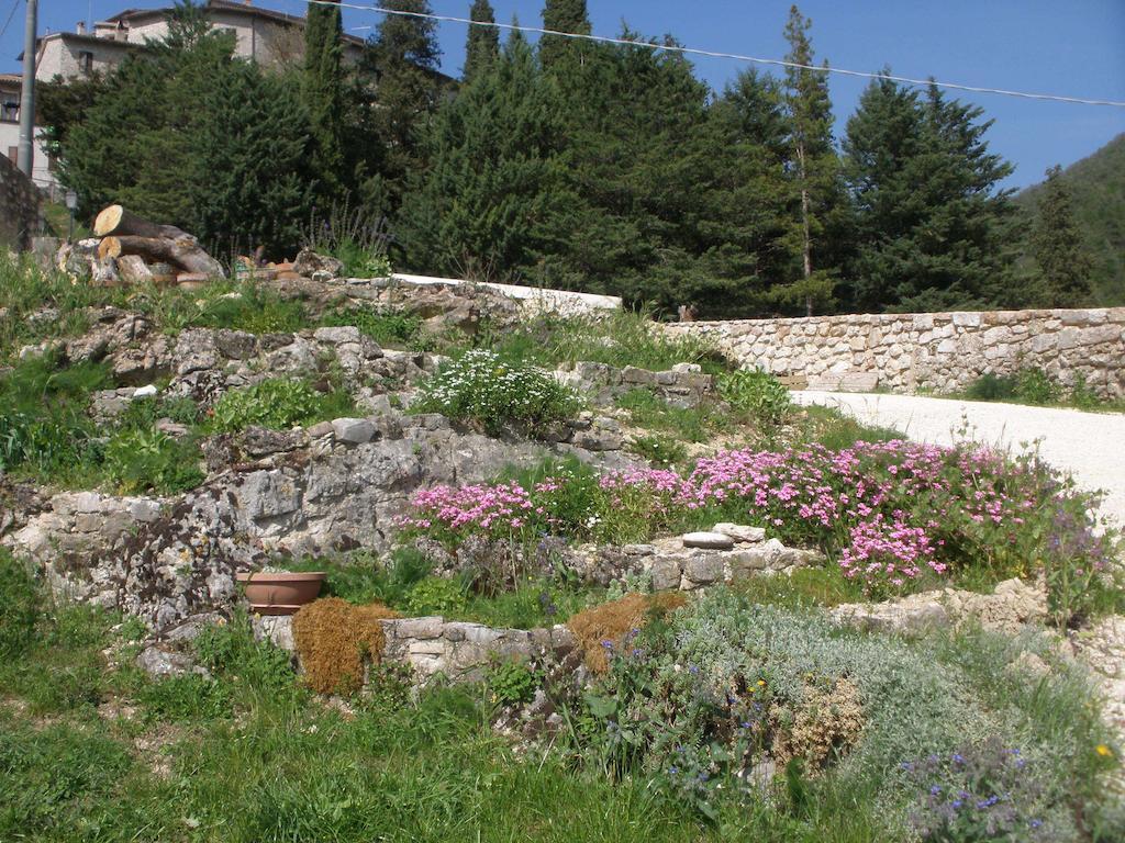 Agriturismo Zafferano E Dintorni 圣安那托利亚迪纳 外观 照片